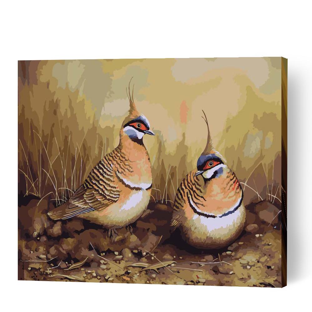 Order Spinfix Pigeons Paint by Numbers Kits | Australia