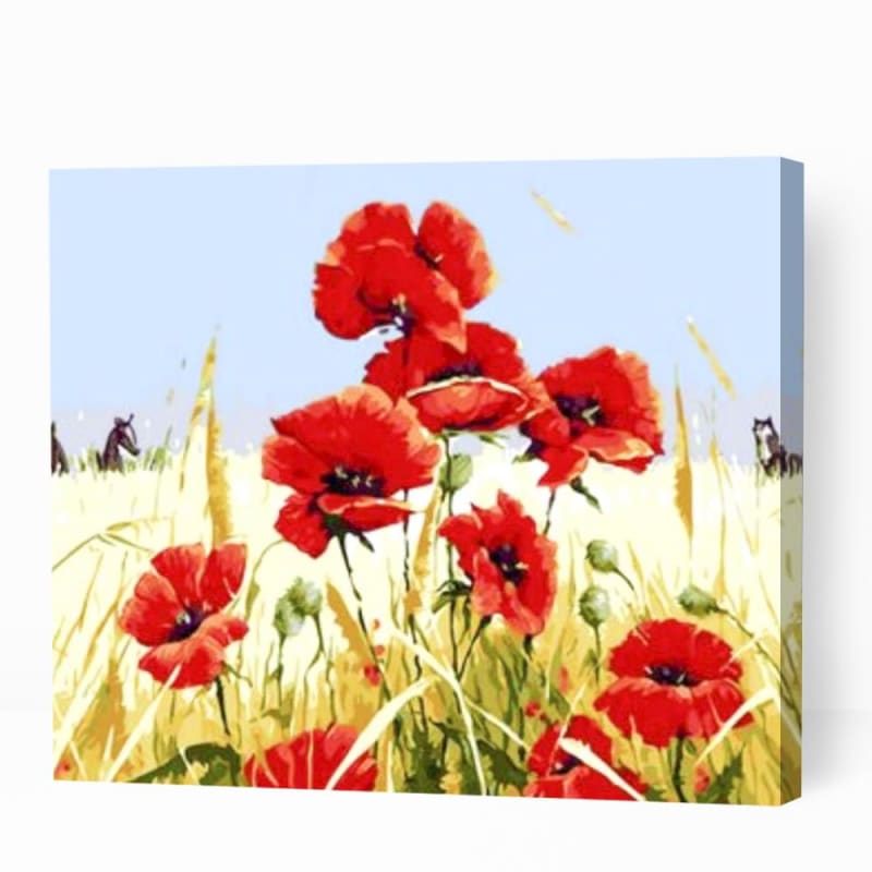 Order Red Poppy Flowers Paint by Numbers Kits Australia