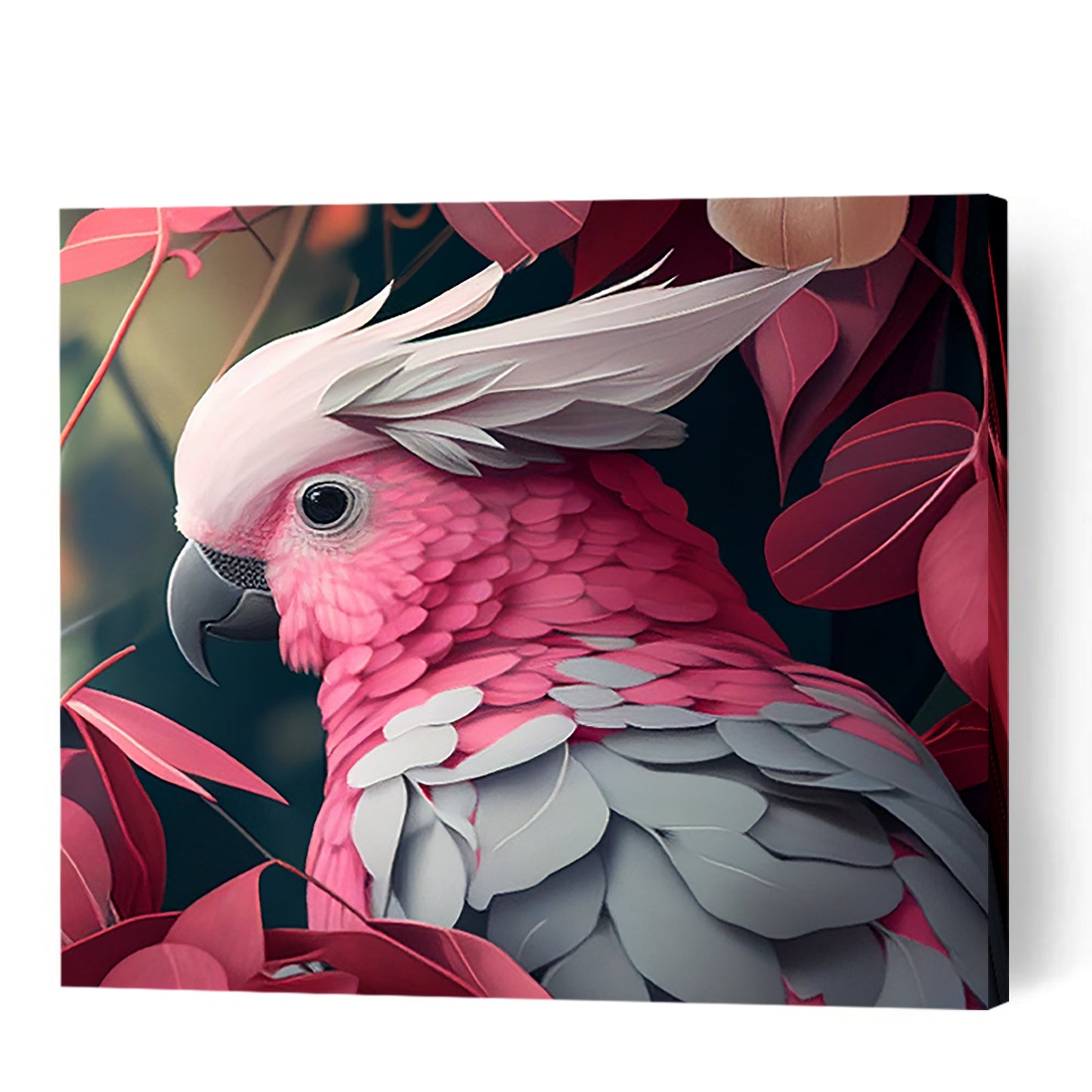 Glorious Galah