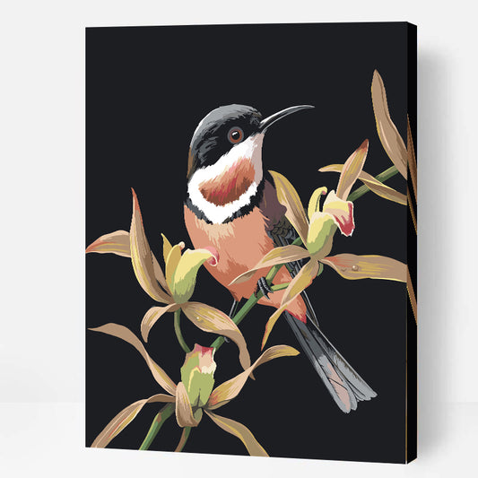 Spinebill & Cymbidium