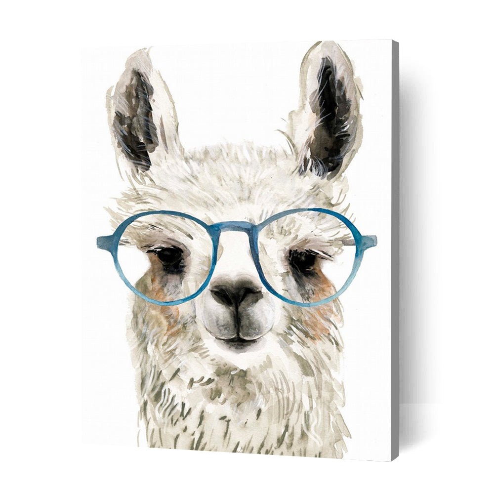 Order Funky llama Paint by Numbers Kits Australia