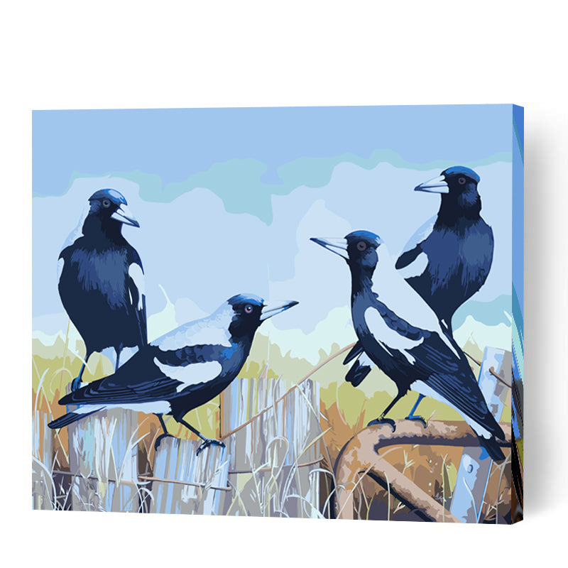 Magpies on Fence