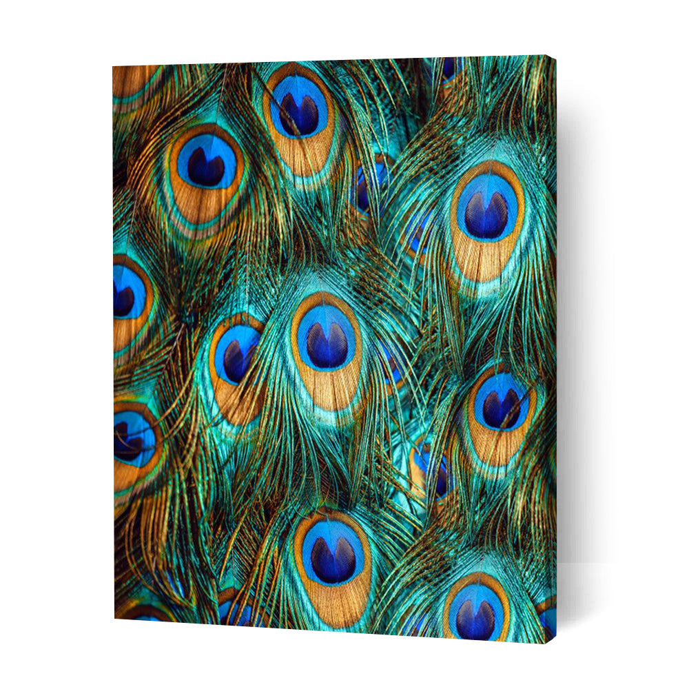 Order Peacock Feathers II Paint by Numbers Kits | Australia