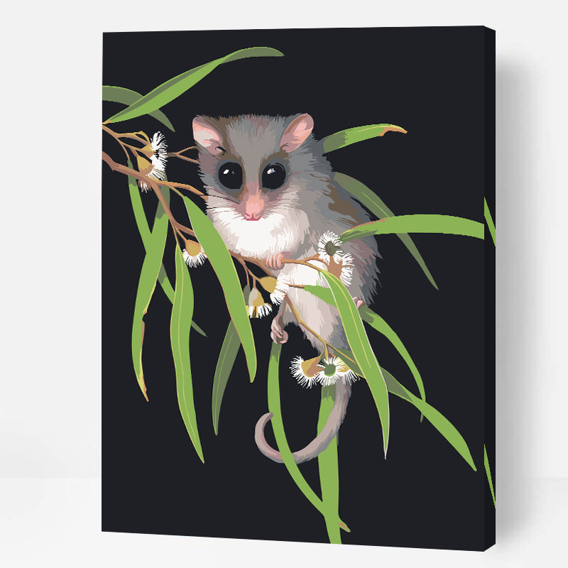 Pygmy Possum & Blossom