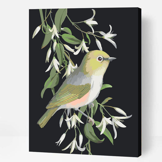 Silvereye, White Creeper