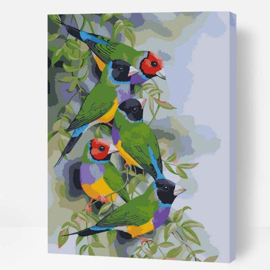 Gouldian Finches - Paint By Numbers Cities