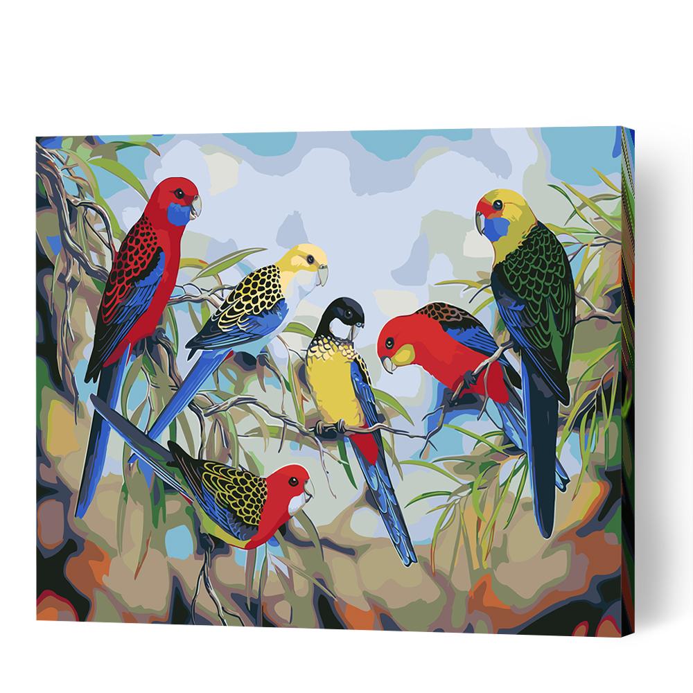 Australian Rosellas - Paint By Numbers Cities