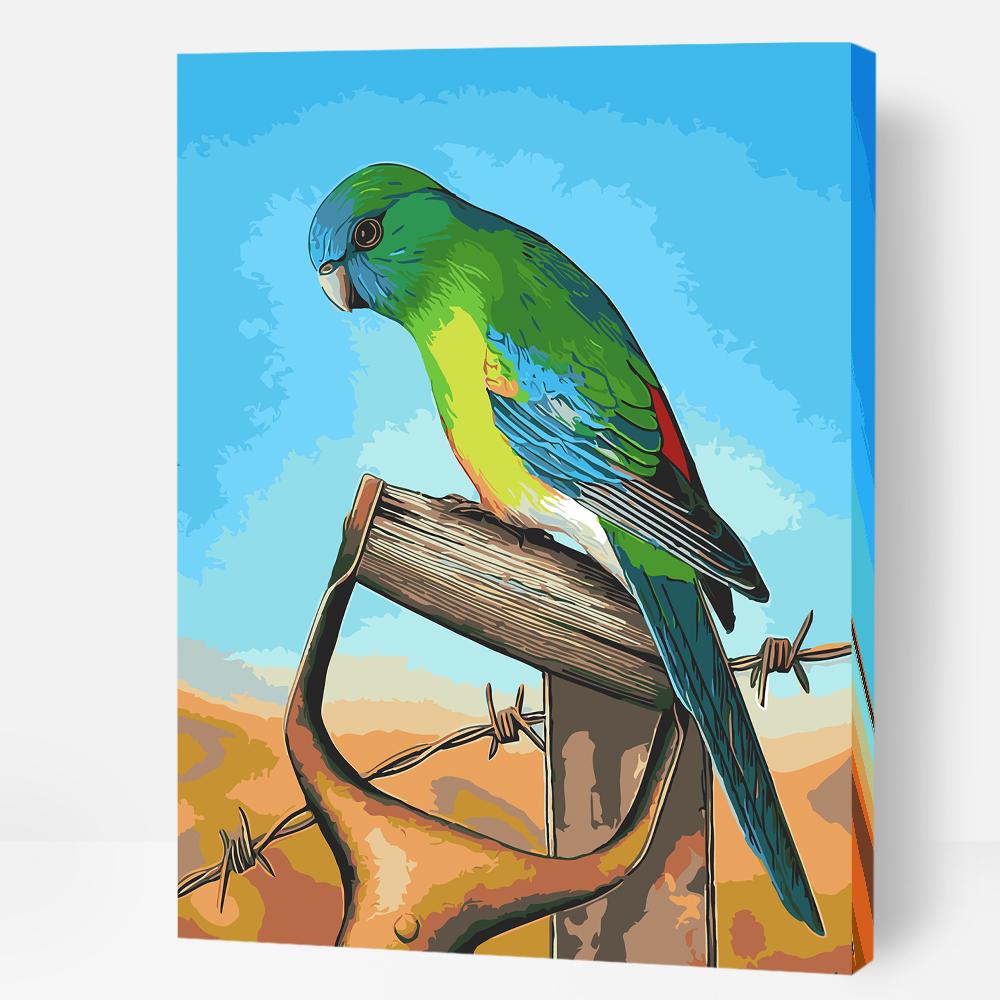 Red-Rumped Parrot - Paint By Numbers Cities