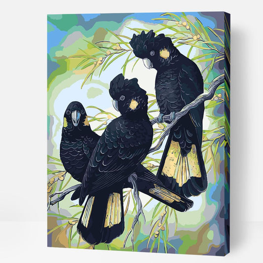 Yellow Tailed Black Cockatoos - Paint By Numbers Cities