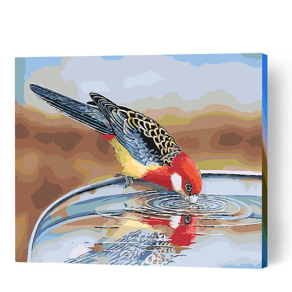 Eastern Rosella Reflection - Paint By Numbers Cities