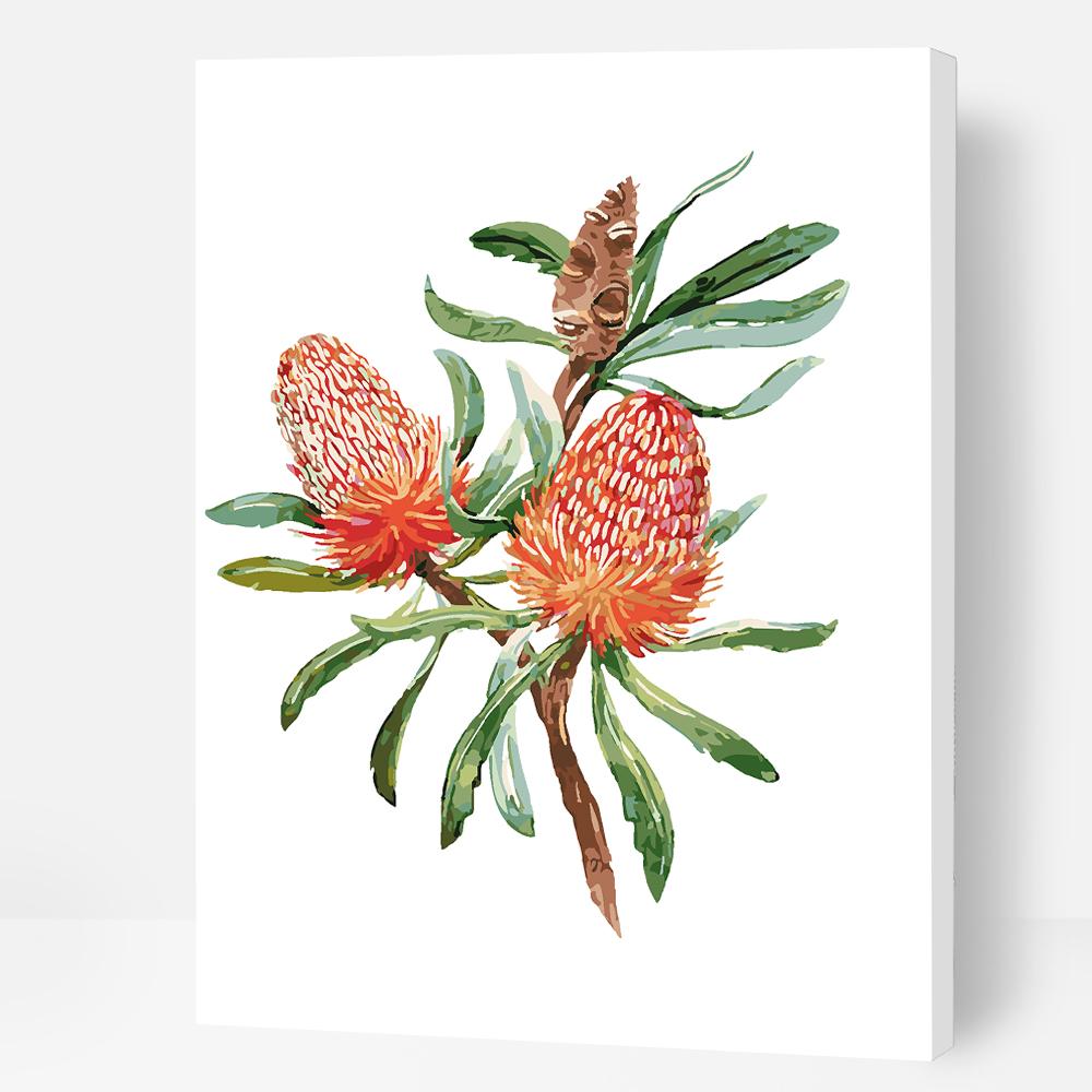 Banksia Flower - Paint By Numbers Cities