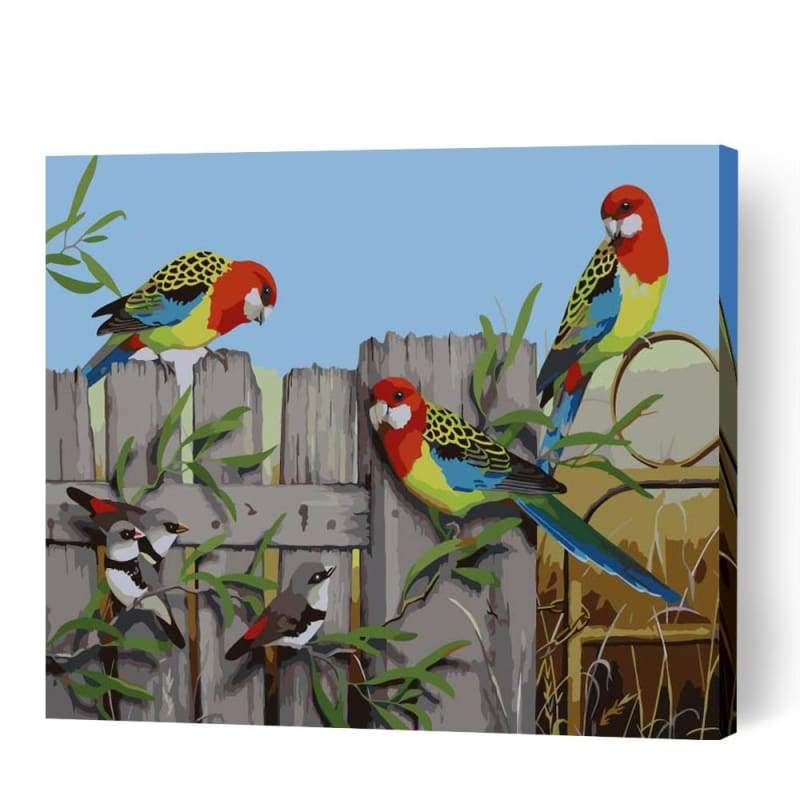 3 Eastern Rosellas & Firetails - Paint By Numbers Cities