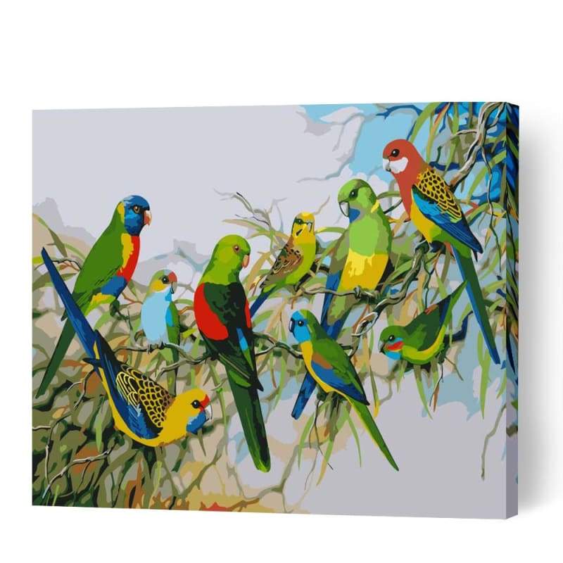 Australian Parrots - Paint By Numbers Cities