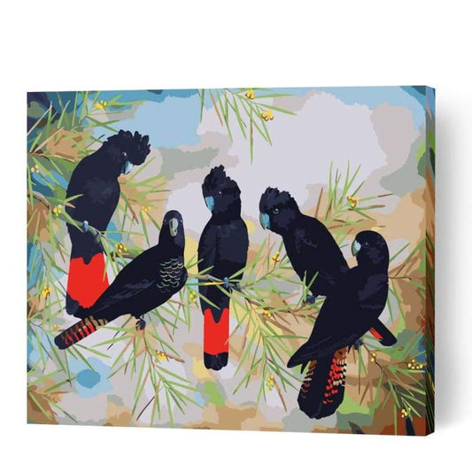 Black Cockatoos - Paint By Numbers Cities