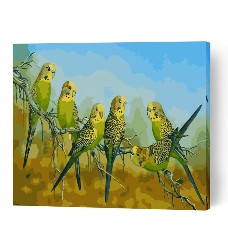 Budgies - Paint By Numbers Cities