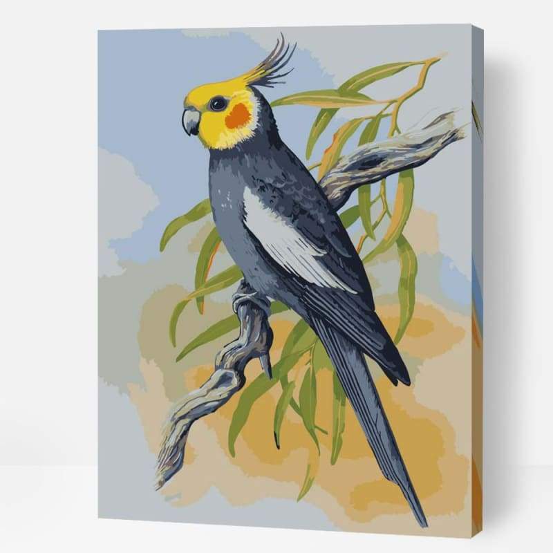 Cockatiel