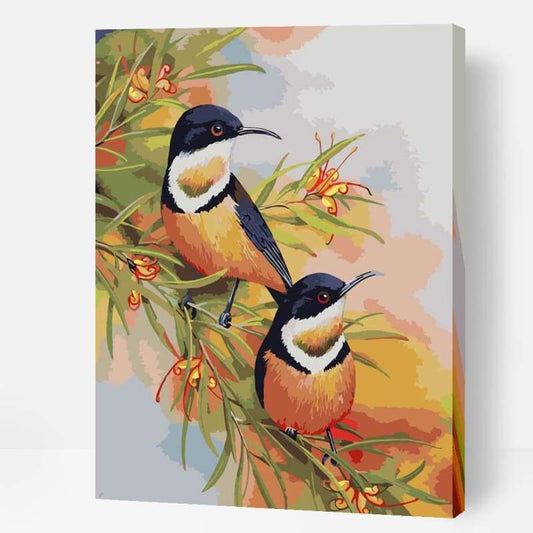 Eastern Spinebills - Paint By Numbers Cities
