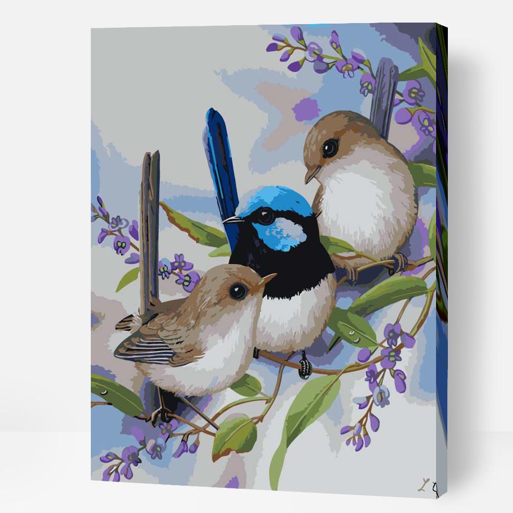 Wrens & Hardenbergia - Paint By Numbers Cities