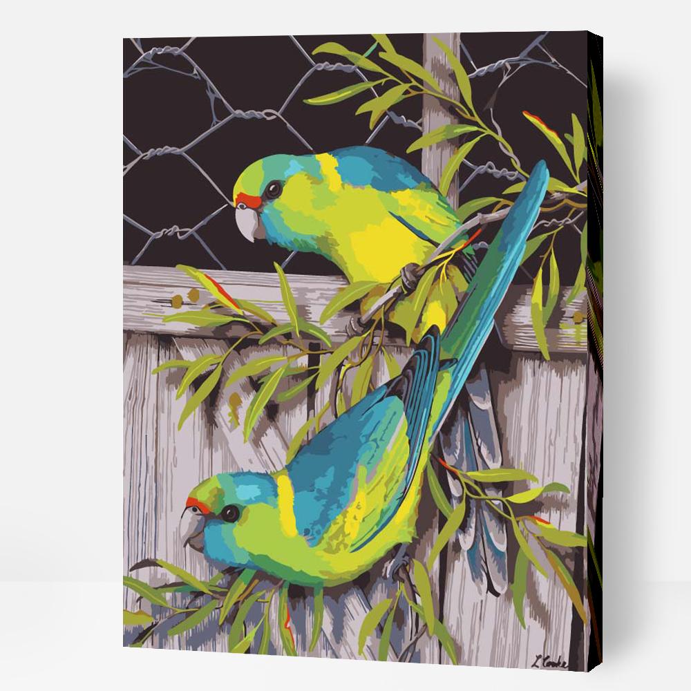 Mallee Ringnecks - Paint By Numbers Cities
