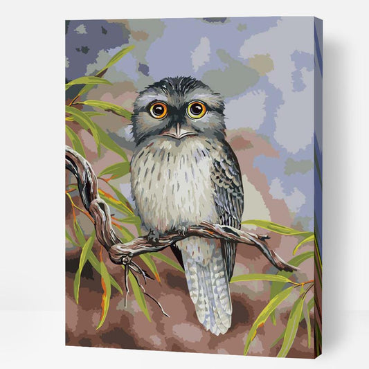 Tawny Frogmouth - Paint By Numbers Cities