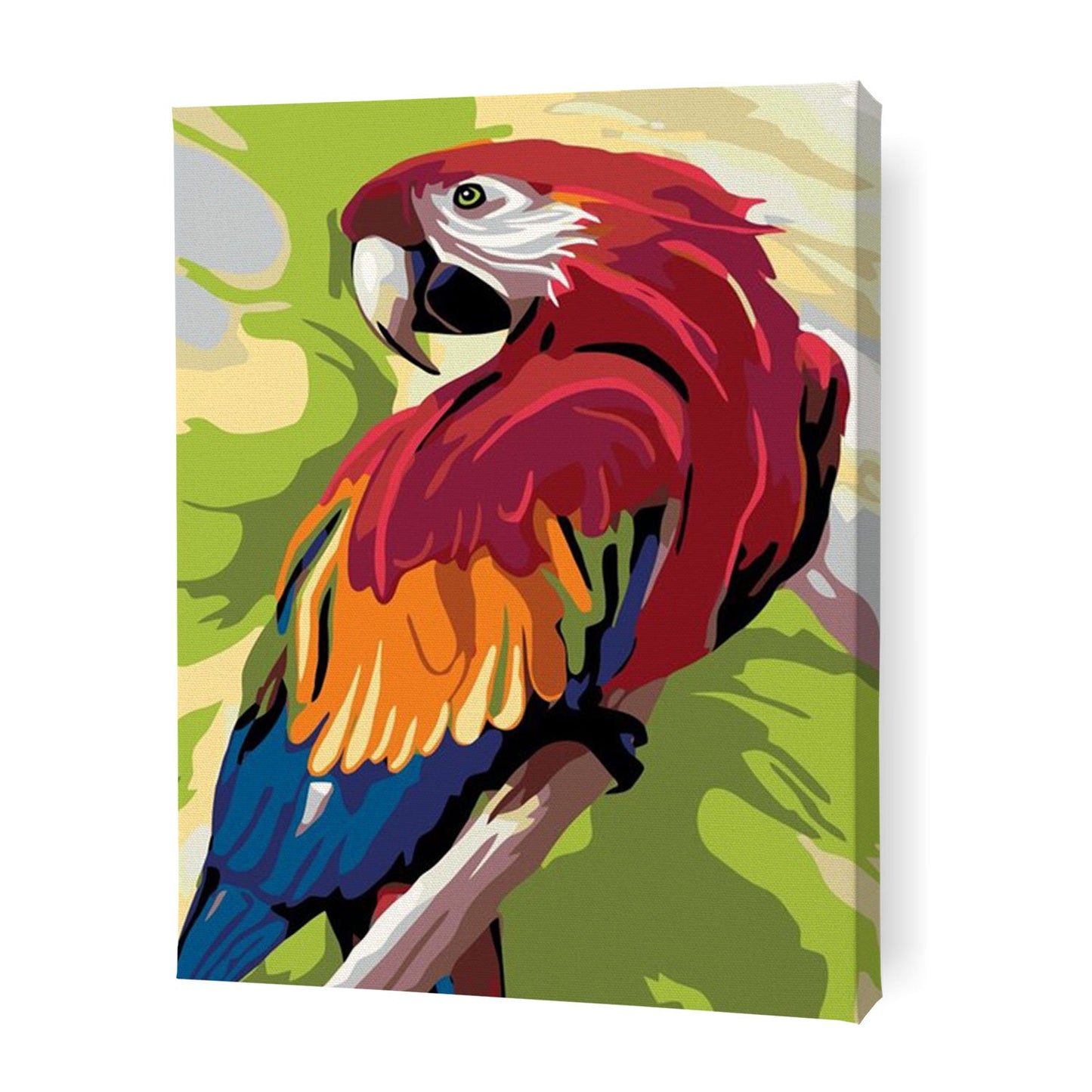 Gerry the Macaw - Paint By Numbers Cities