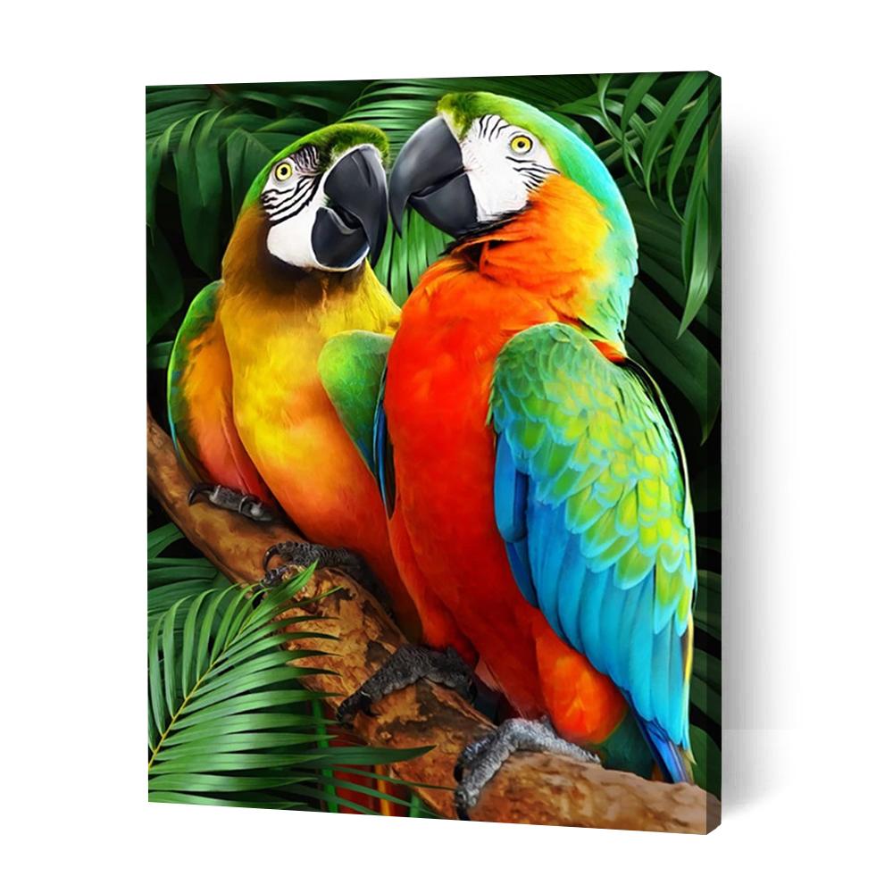 Order Pair of Macaws Paint by Numbers Kits | Australia