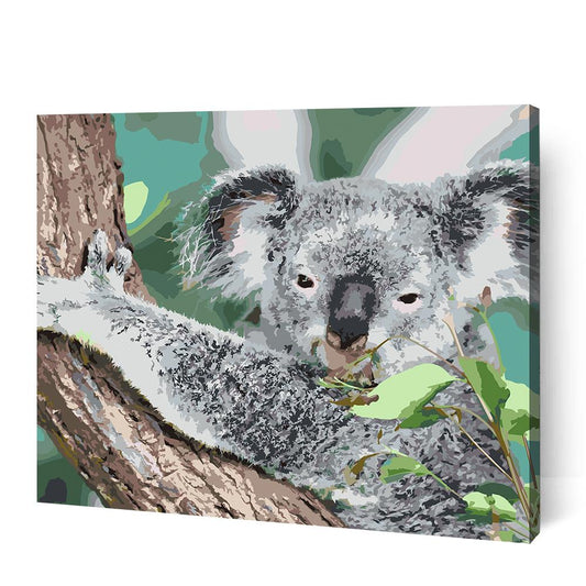 Staring Koala - Paint By Numbers Cities