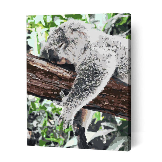 Sleeping Koala II - Paint By Numbers Cities