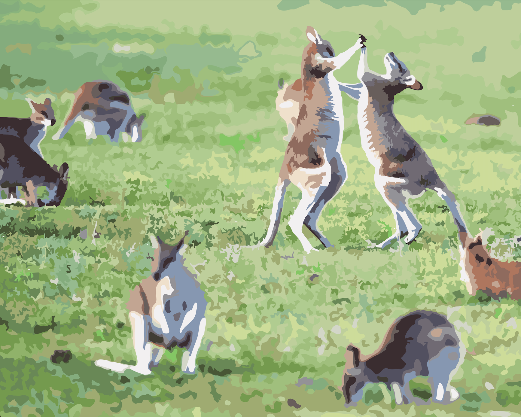 Kangaroo Tango - Paint By Numbers Cities