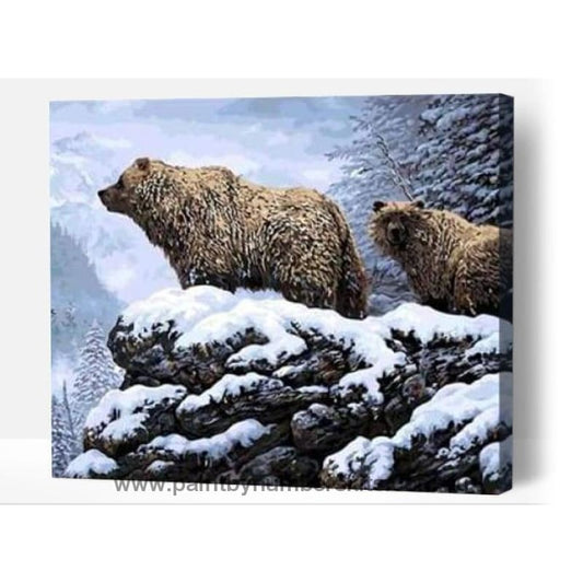 Alpine Bears - Paint By Numbers Cities