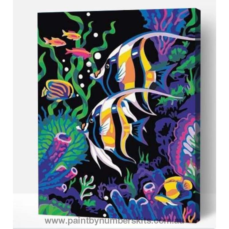 Angelfish - Paint By Numbers Cities