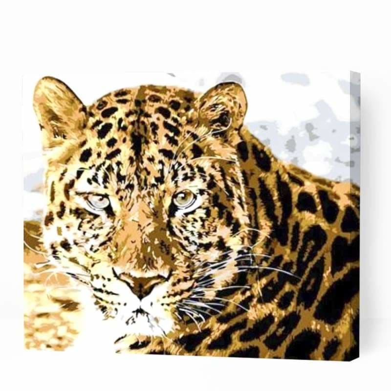 Beautiful Amur Leopard - Paint By Numbers Cities