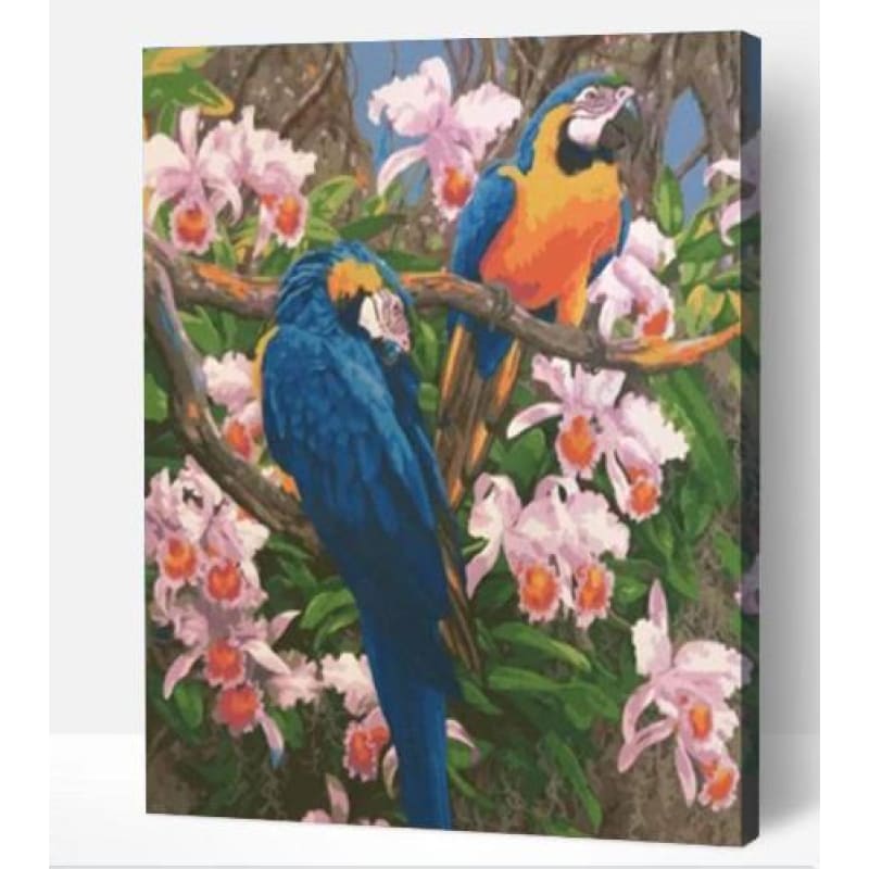 Beautiful Macaw Parrots - Paint By Numbers Cities