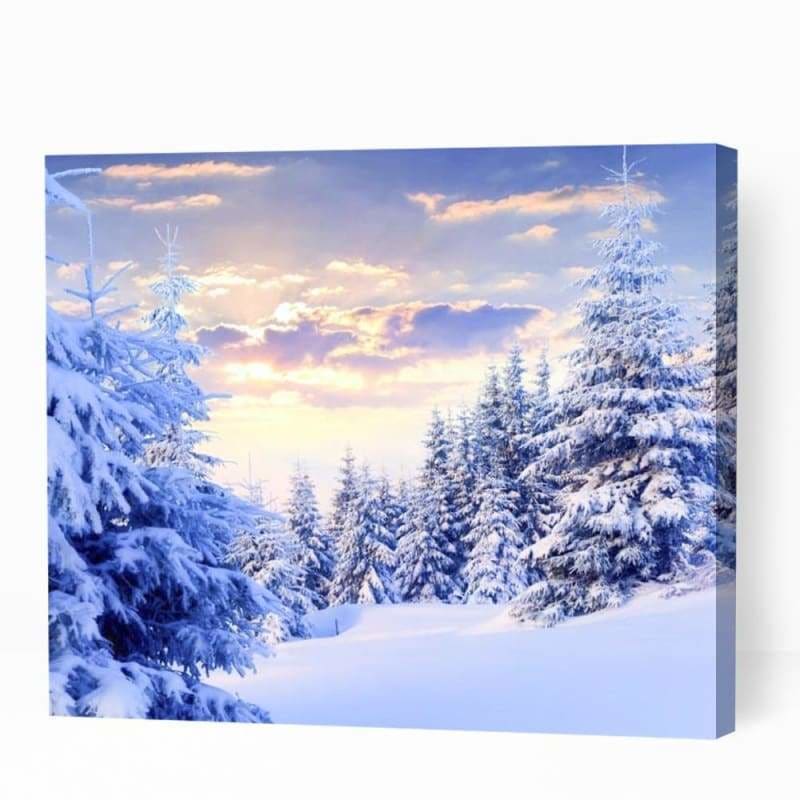 Beautiful Snowy Forest - Paint By Numbers Cities