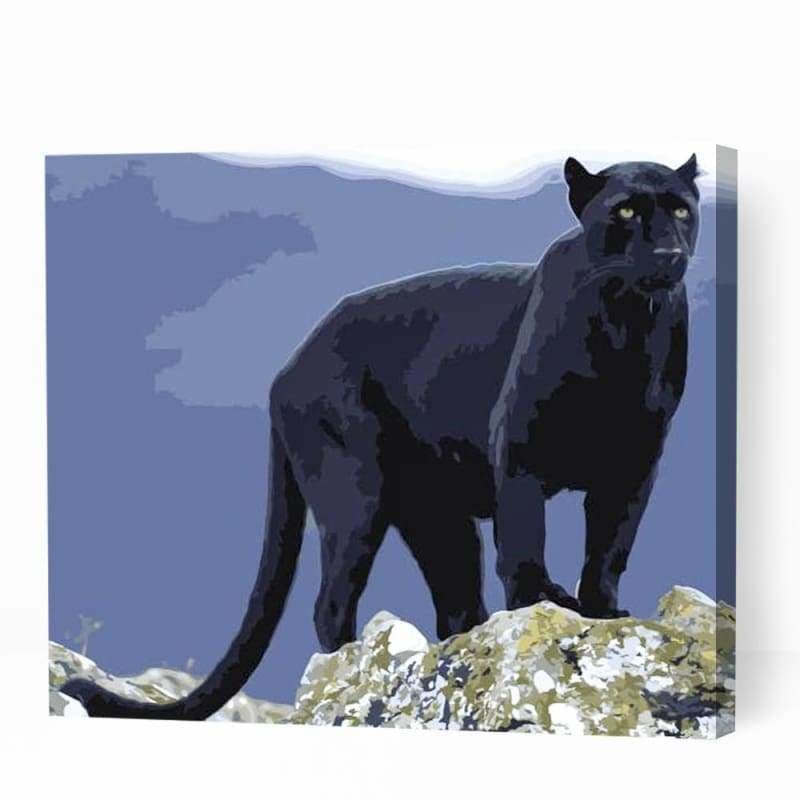 Black Puma Panther - Paint By Numbers Cities