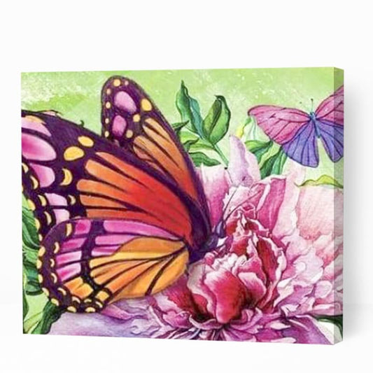 Butterflies Sitting on Flower - Paint By Numbers Cities