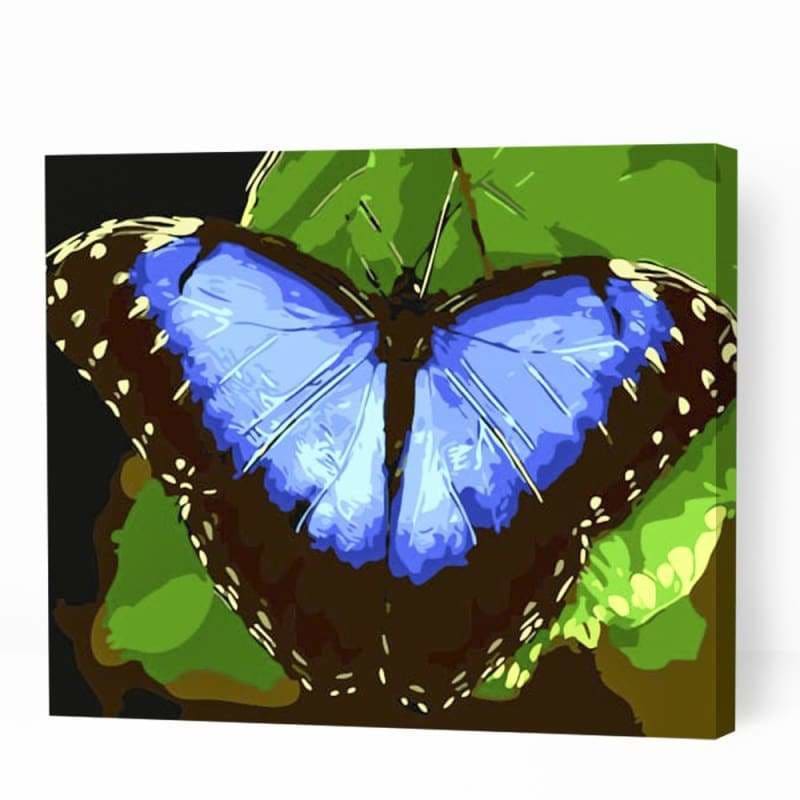 Butterfly on Leaf - Paint By Numbers Cities