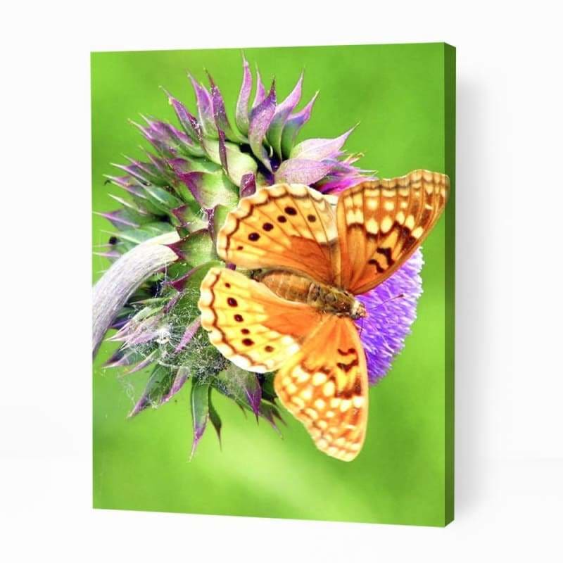 Butterfly on Purple Flower - Paint By Numbers Cities