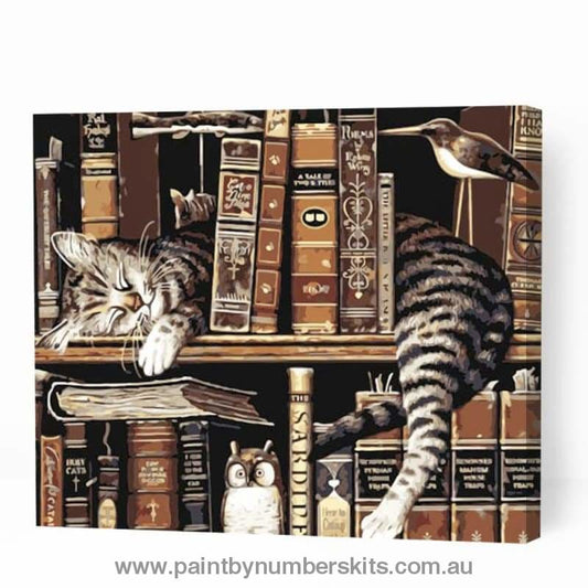 Cat Sleeping with Books - Paint By Numbers Cities