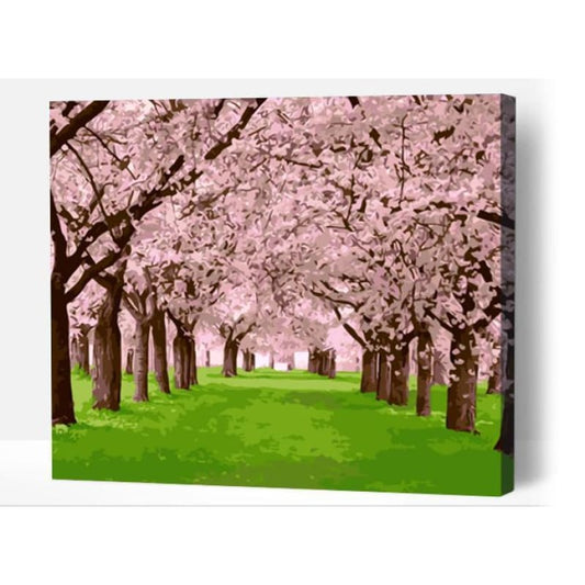 Cherry Blossom Walk - Paint By Numbers Cities