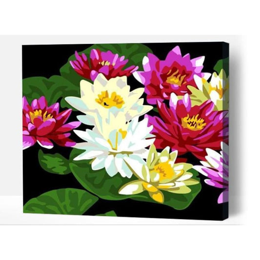 Colourful Lotuses - Paint By Numbers Cities