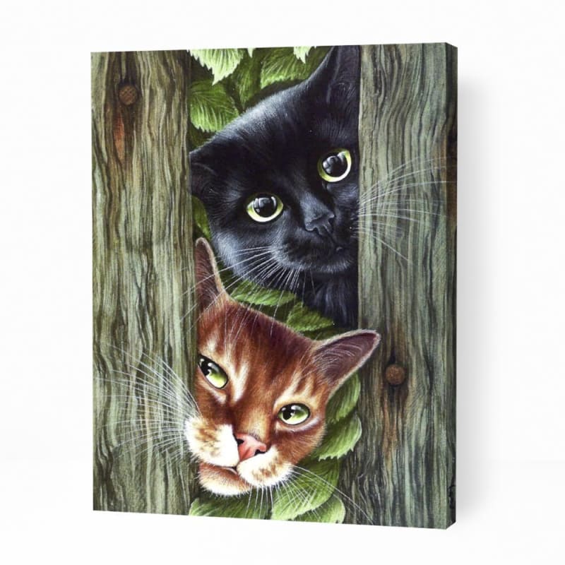 Cute Kittens Peekaboo - Paint By Numbers Cities