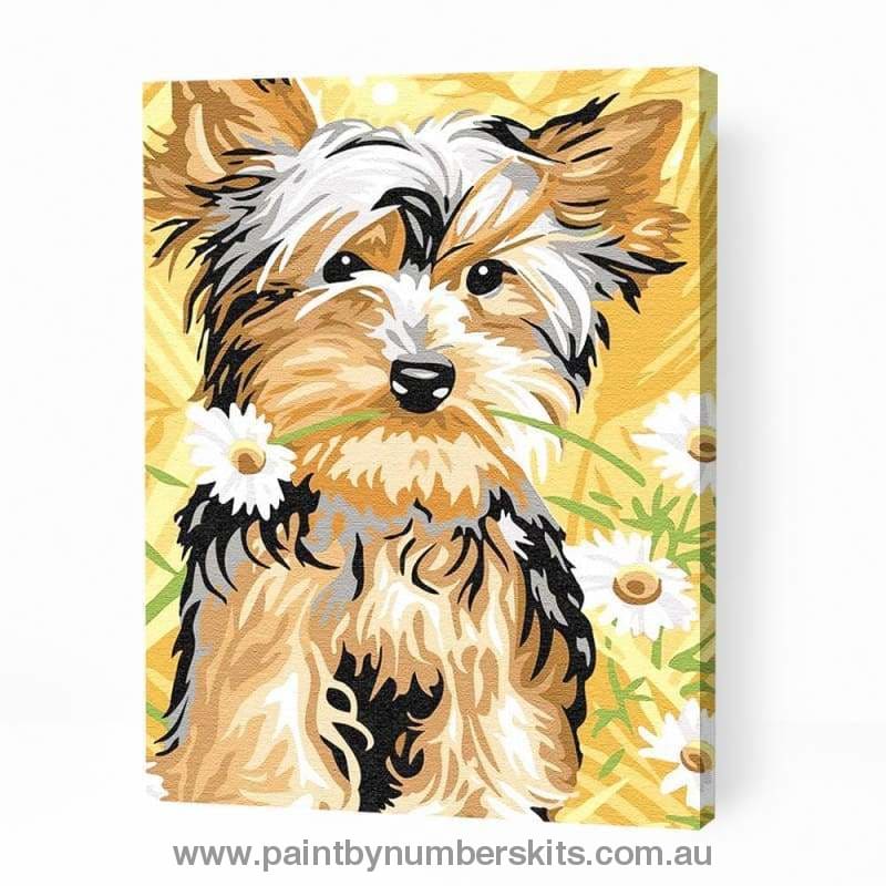 Cute Puppy Holding Flower - Paint By Numbers Cities