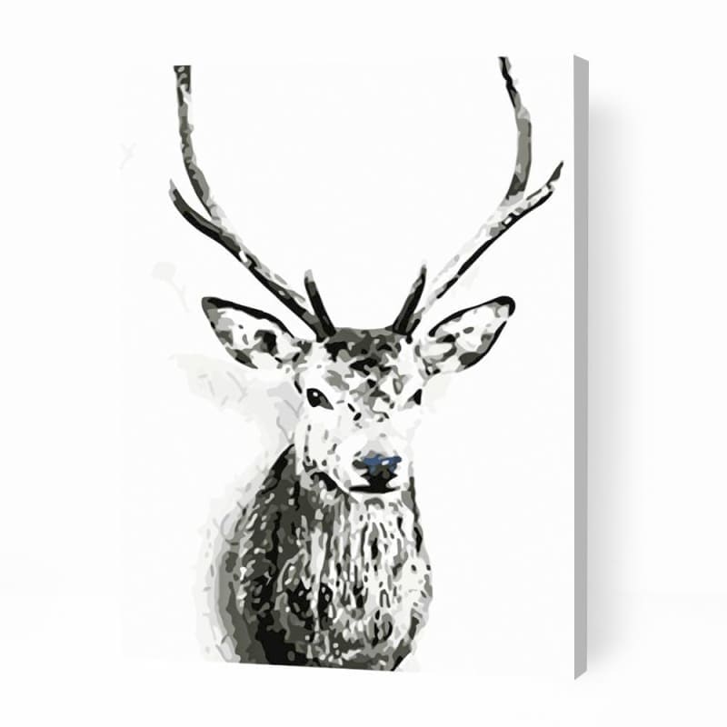 Deer Head with Antlers - Paint By Numbers Cities