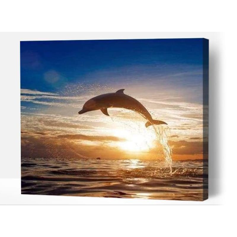 Dolphin at sunrise - Paint By Numbers Cities