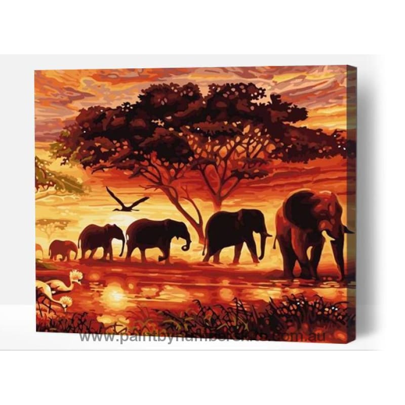 Elephant Family at Sunset - Paint By Numbers Cities