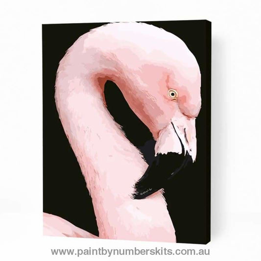 Pink Flamingo - Paint By Numbers Cities