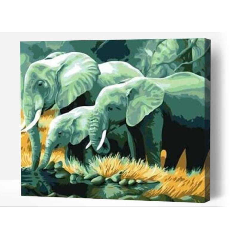 Elephant family drinking - Paint By Numbers Cities