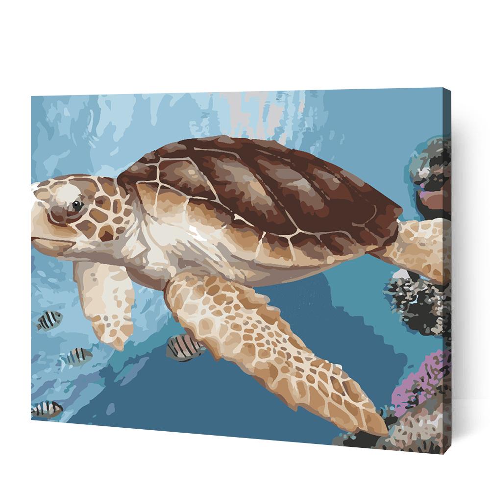 Frank the Sea Turtle - Paint By Numbers Cities