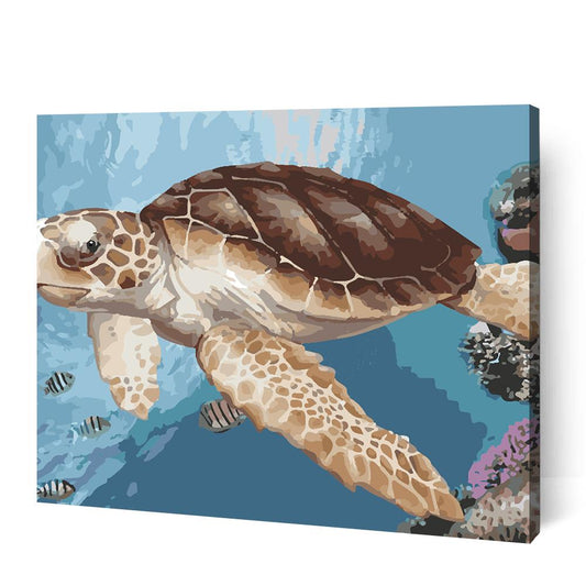 Frank the Sea Turtle - Paint By Numbers Cities